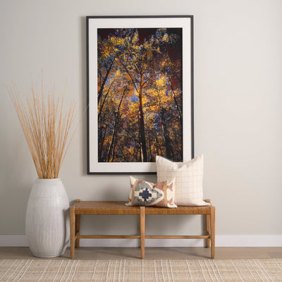 product image for Shane Bench Mercana Mer 70801 20 61