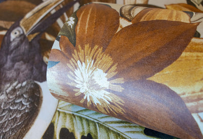 product image for Palau Peanut Wallpaper from the Tropical Collection by Galerie Wallcoverings 53