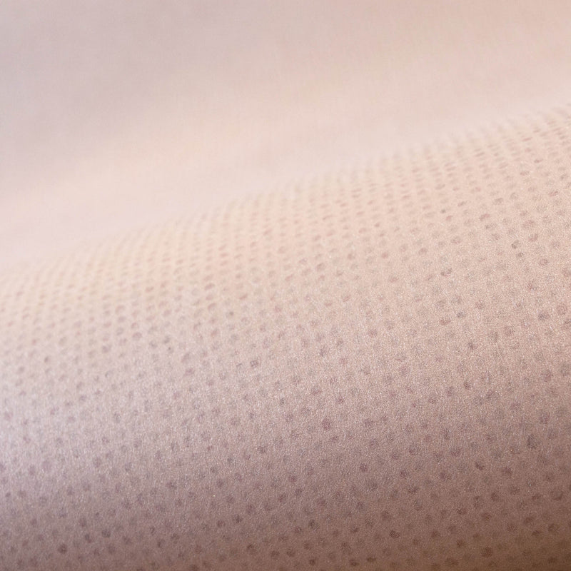 media image for Mini Dots Rose Wallpaper from the Great Kids Collection by Galerie Wallcoverings 212