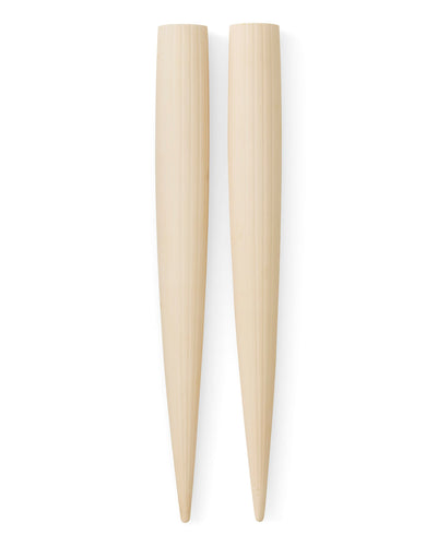 product image for Hydrous Watering Stick Audo Copenhagen 71187 000741 1 49