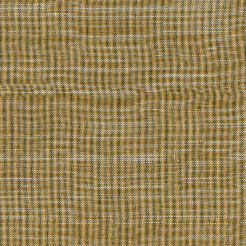 media image for Abaca Fine & Filament Wallpaper in Gold 245