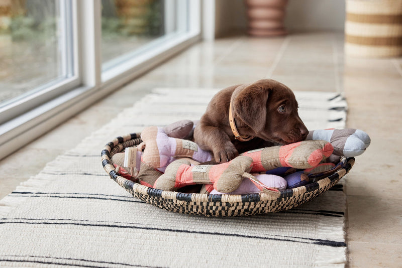 media image for ashi dog toy cherry red taupe 5 246