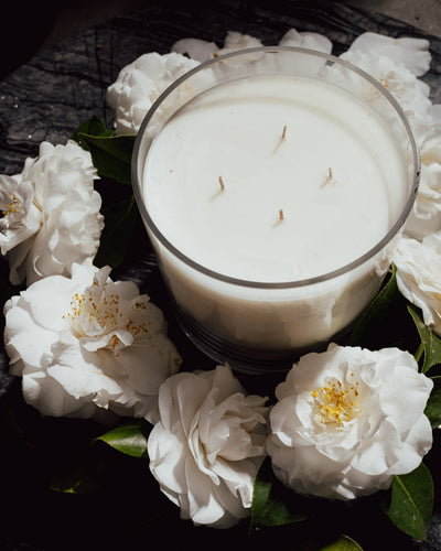 product image for Gardenia Candle 6X6 D N84Gejx 2 82