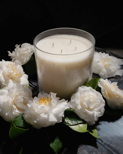 product image for Gardenia Candle 6X6 D N84Gejx 3 95