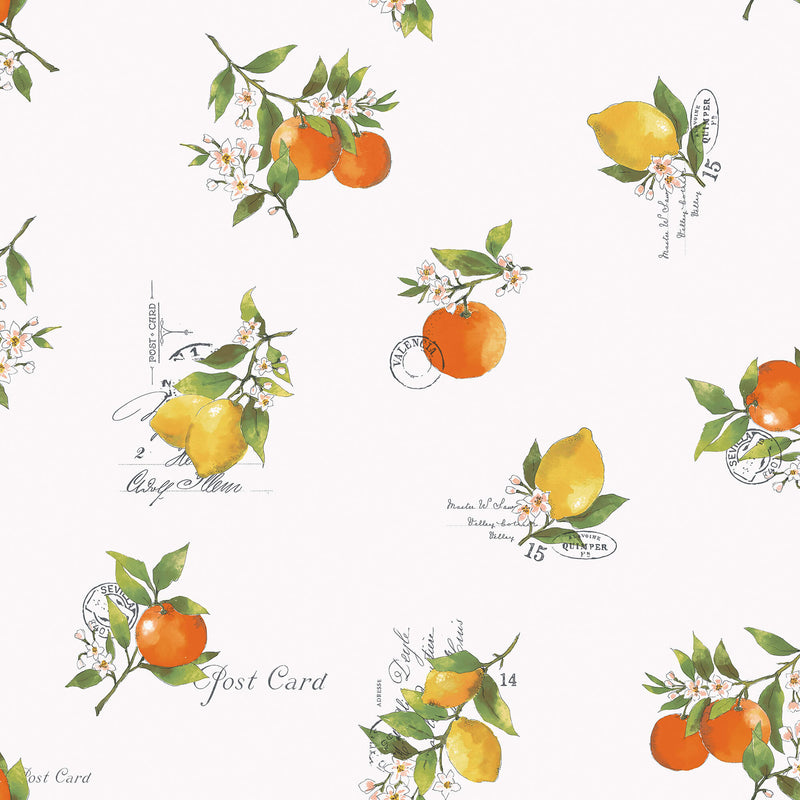 media image for sample citrus toss orange green wallpaper from the just kitchens collection by galerie wallcoverings 1 271