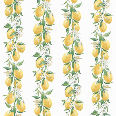 product image of sample lemon stripe yellow green wallpaper from the just kitchens collection by galerie wallcoverings 1 584
