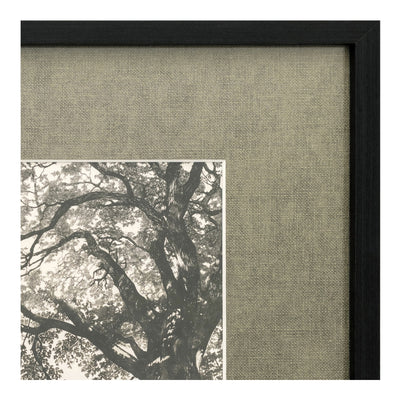 product image for Arise Framed Print Moes Home Collection Mhc Jq 1058 37 4 68