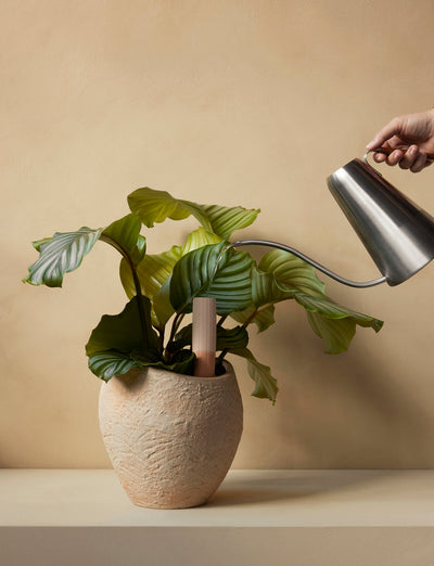 product image for Hydrous Watering Stick Audo Copenhagen 71187 000741 2 95
