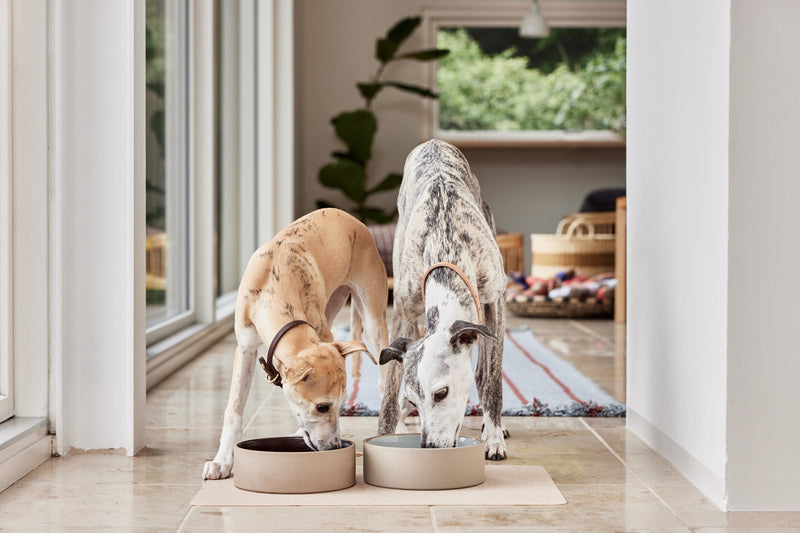 media image for sia dog bowl large 11 283