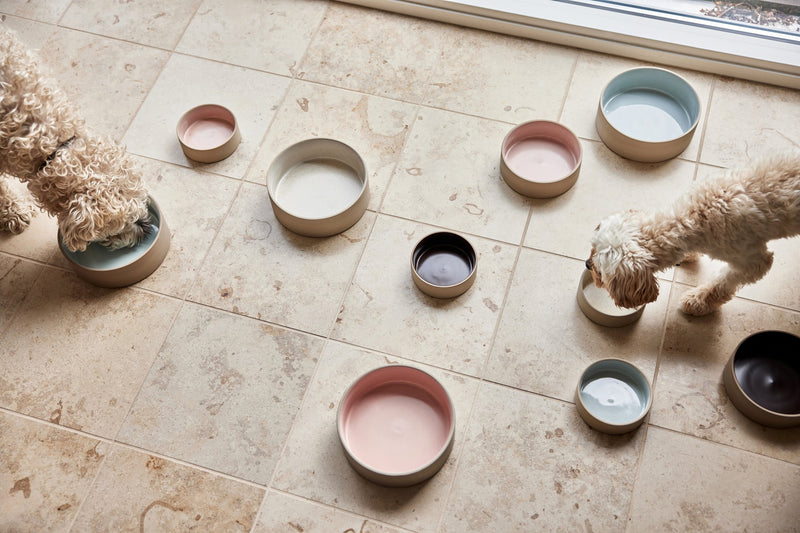 media image for sia dog bowl large 9 260