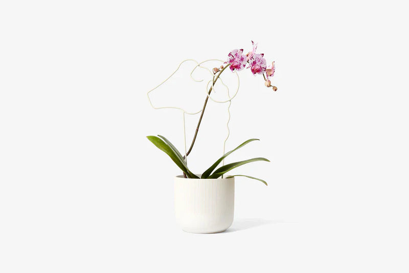 media image for plant trellis 7 267