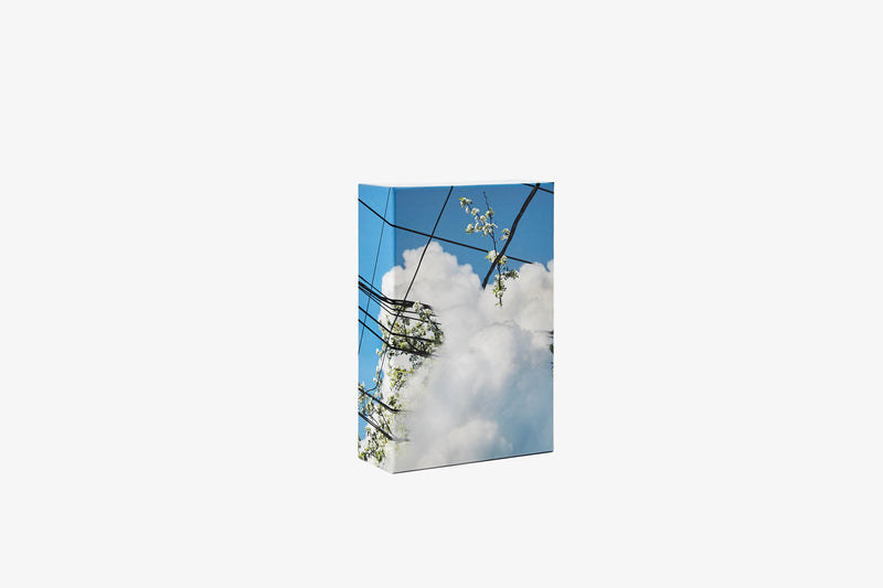 media image for Puzzle in Puzzle 252
