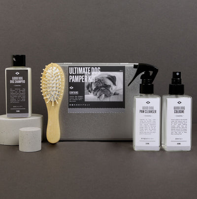 product image for ultimate good dog pamper kit coastal design by mens society 3 67
