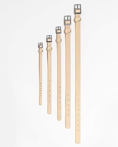 product image of Collar in Various Sizes & Colors 53