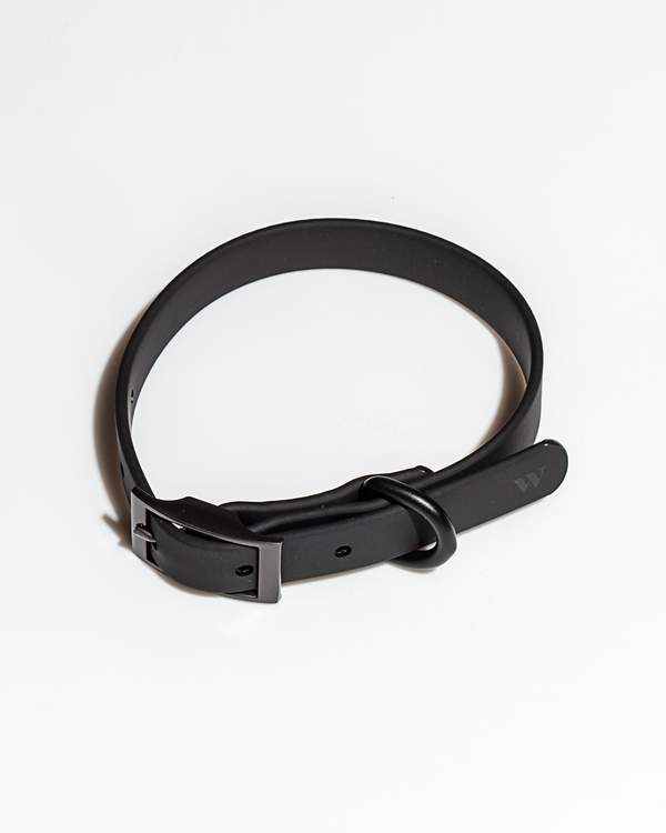 media image for Collar in Various Sizes & Colors 259