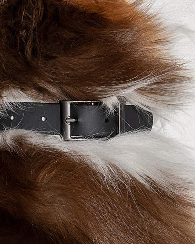 product image for Collar in Various Sizes & Colors 39