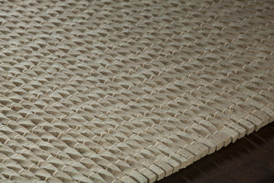 product image for Renea Hand Woven Contemporary Ren 40101 Rug Chandra Rugs 3 82