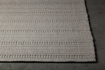 product image for Tia Hand Woven Contemporary Tia 48102 Rug Chandra Rugs 3 98