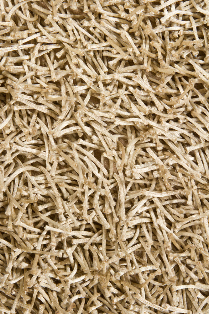 media image for Zara Hand Woven Contemporary Zar 14520 Rug Chandra Rugs 4 213