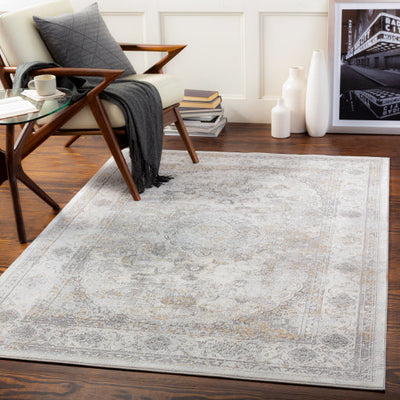 product image for Norland Medium Gray Rug Roomscene Image 39